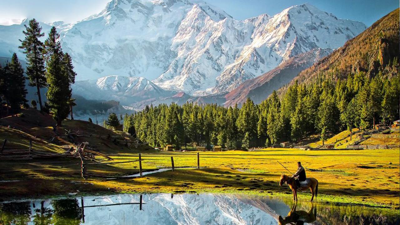 Fairy Meadows Pakistan travel guide